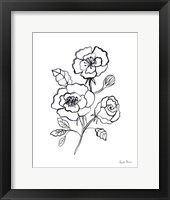 Joyful Peonies I Framed Print