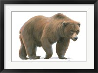 Northern Wild  I Fine Art Print