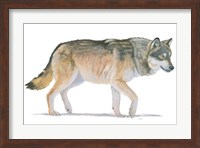 Northern Wild II Fine Art Print