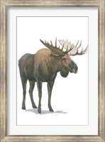 Northern Wild VI Fine Art Print