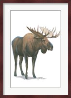 Northern Wild VI Fine Art Print