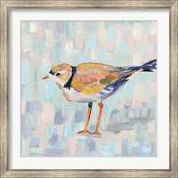 Coastal Plover IV v2 Neutral Fine Art Print