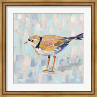 Coastal Plover IV v2 Neutral Fine Art Print