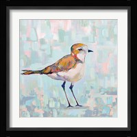 Coastal Plover III Neutral Framed Print