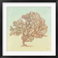 Sea Fern II Framed Print