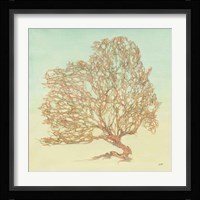 Sea Fern I Framed Print