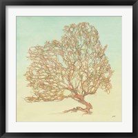 Sea Fern I Framed Print