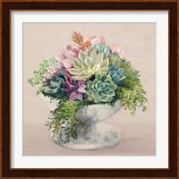 Festive Succulents II Blush Fine Art Print