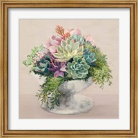 Festive Succulents II Blush Fine Art Print