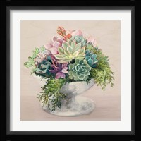 Festive Succulents II Blush Framed Print