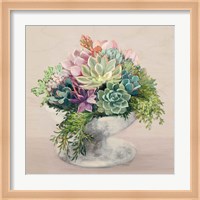 Festive Succulents II Blush Fine Art Print