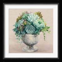 Festive Succulents I Blush Fine Art Print