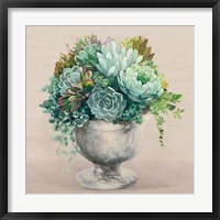 Festive Succulents I Blush Framed Print