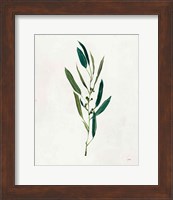 Botanical Study I Greenery Fine Art Print