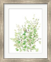 Spring Greens Fine Art Print