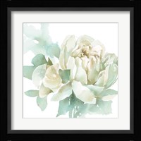 Poetic Blooming I Framed Print