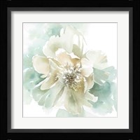 Poetic Blooming II Framed Print