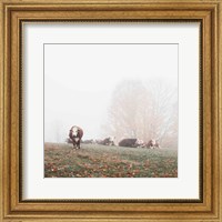 Misty Pasture Fine Art Print