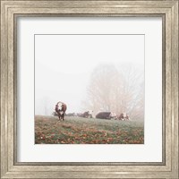 Misty Pasture Fine Art Print