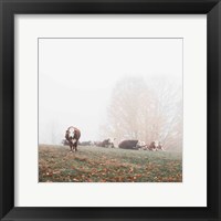 Misty Pasture Fine Art Print
