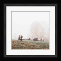 Misty Pasture Fine Art Print