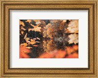 Autumn Reflections Fine Art Print