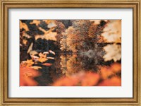 Autumn Reflections Fine Art Print