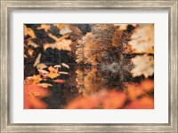 Autumn Reflections Fine Art Print