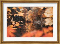 Autumn Reflections Fine Art Print