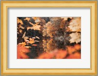 Autumn Reflections Fine Art Print