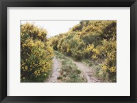 Scottish Highlands II Framed Print