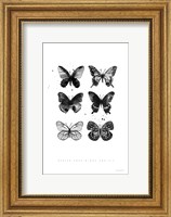 Six Inky Butterflies Fine Art Print