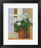 Creancey Geraniums II Light Fine Art Print