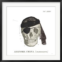 Dandy Bones VI Pirate Fine Art Print