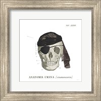 Dandy Bones VI Pirate Fine Art Print