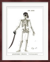 Dandy Bones Pirate Fine Art Print