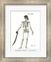 Dandy Bones Pirate Fine Art Print