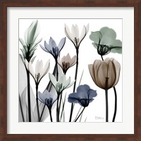 Neutral Grouping 2 Fine Art Print