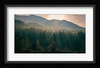 Awakenings Fine Art Print