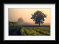 Morning Mist Fine Art Print