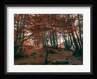 The Orange Season Fine Art Print