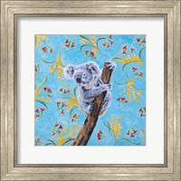 Koala Fine Art Print