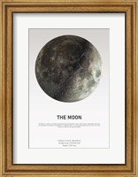 Moon Light Fine Art Print