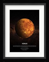 Venus Fine Art Print