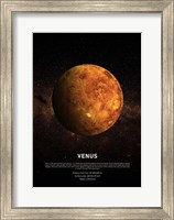 Venus Fine Art Print