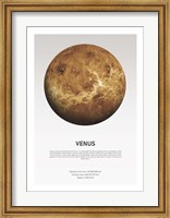 Venus Light Fine Art Print