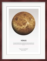 Venus Light Fine Art Print