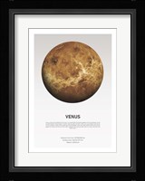 Venus Light Fine Art Print