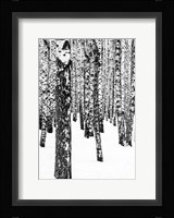 White Edition 1 Fine Art Print