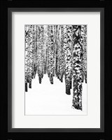 White Edition 2 Fine Art Print
